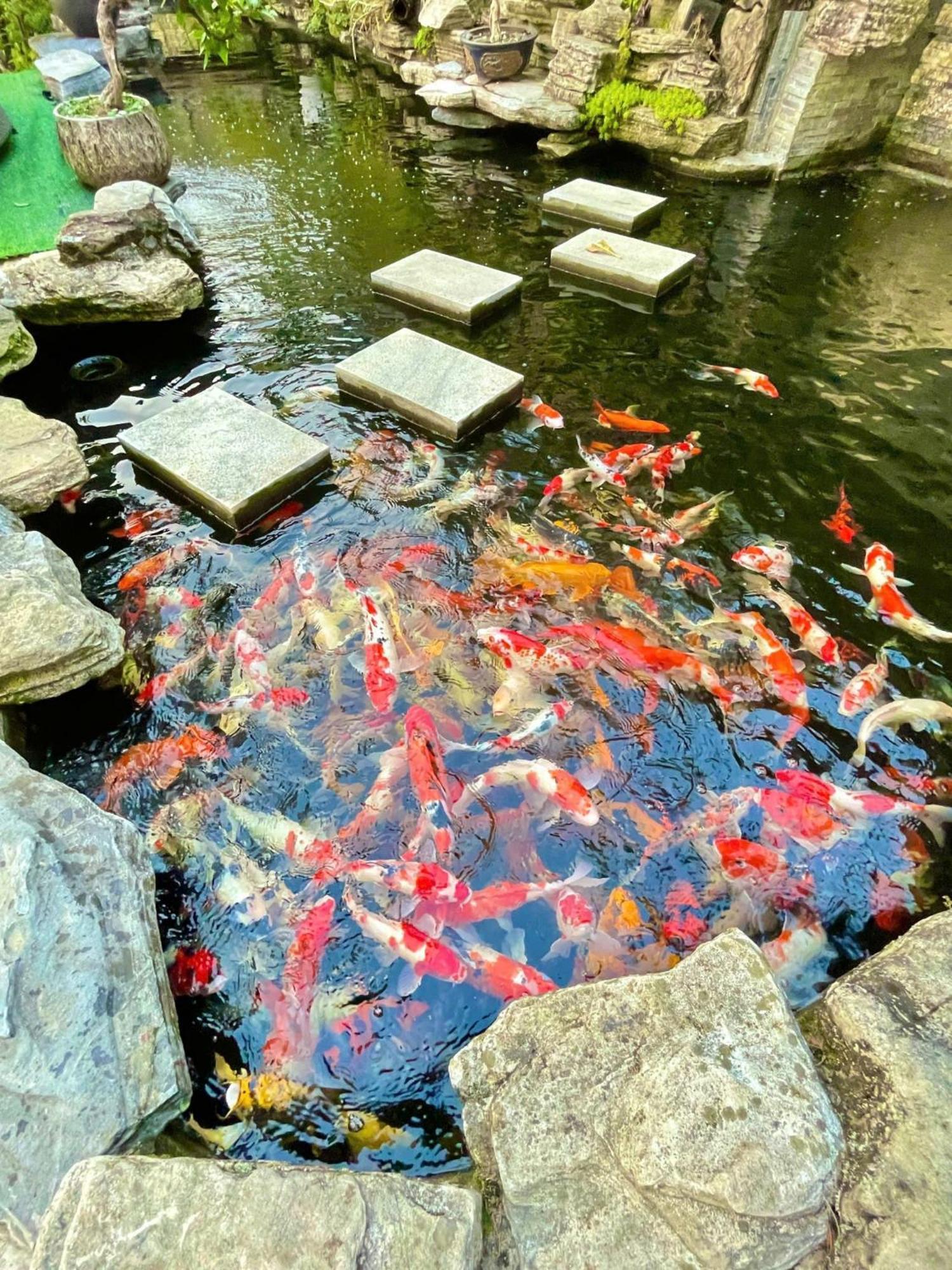 Chuon Chuon Villa Homestay Tam Ðảo エクステリア 写真