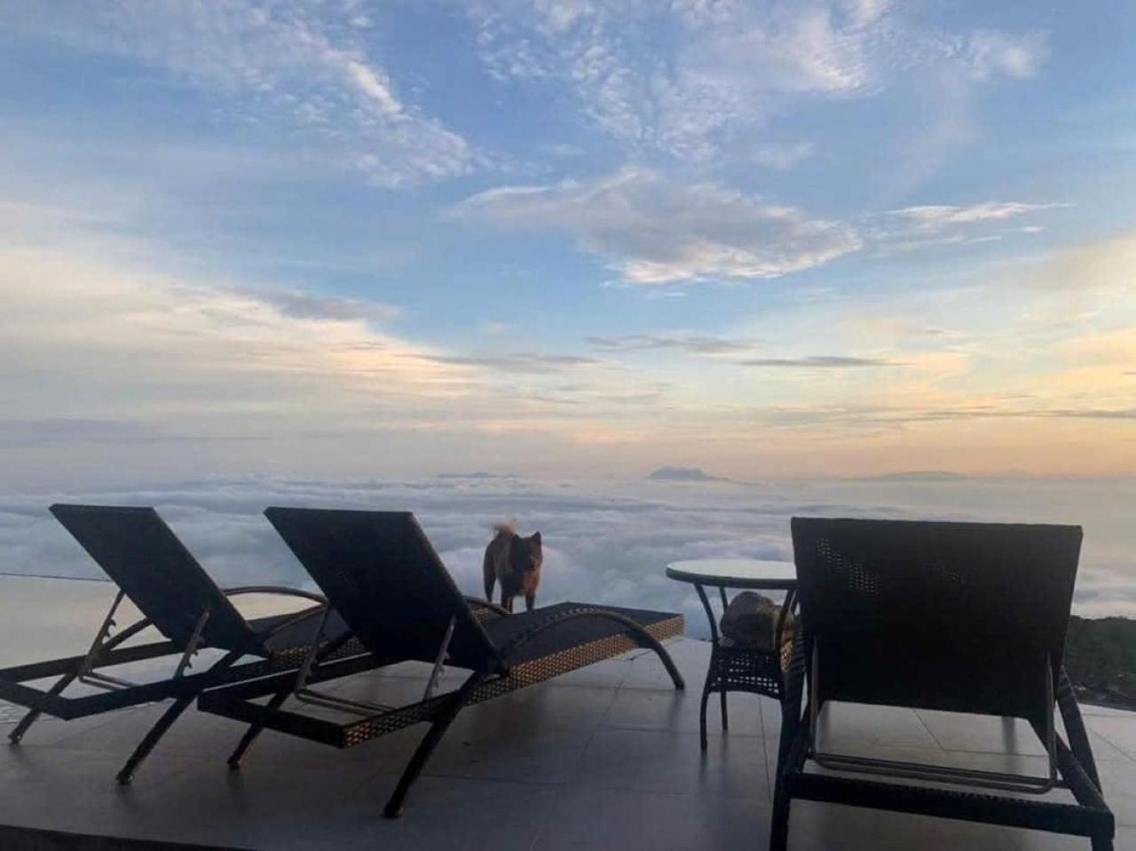 Chuon Chuon Villa Homestay Tam Ðảo エクステリア 写真